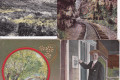 PostCard_0025a
